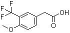 2-(4-Methoxy-3-(trifluoromethyl)phenyl)acetic acidStructure,1000566-45-9Structure 2-(4-Methoxy-3-(trifluoromethyl)phenyl)acetic acid Structure,1000566-45-9Structure