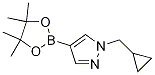1-(Cyclopropylmethyl)-4-(4,4,5,5-tetramethyl-1,3,2-dioxaborolan-2-yl)-1h-pyrazoleStructure,1000801-75-1Structure 1-(Cyclopropylmethyl)-4-(4,4,5,5-tetramethyl-1,3,2-dioxaborolan-2-yl)-1h-pyrazole Structure,1000801-75-1Structure