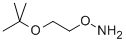 O-(2-叔丁氧基乙基)羥胺結(jié)構(gòu)式_1023742-13-3結(jié)構(gòu)式