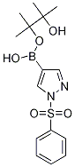 1H-Pyrazole, 1-(phenylsulfonyl)-4-(4,4,5,5-tetramethyl-1,3,2-dioxaborolan-2-yl)-Structure,1073372-04-9Structure 1H-Pyrazole, 1-(phenylsulfonyl)-4-(4,4,5,5-tetramethyl-1,3,2-dioxaborolan-2-yl)- Structure,1073372-04-9Structure