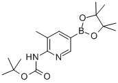 Boc-6-amino-5-methylpyridine-3-boronic acid pinacol esterStructure,1075249-37-4Structure Boc-6-amino-5-methylpyridine-3-boronic acid pinacol ester Structure,1075249-37-4Structure