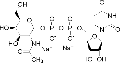 Udp-alpha-d-n-acetylgalactosamine, disodium saltStructure,108320-87-2Structure Udp-alpha-d-n-acetylgalactosamine, disodium salt Structure,108320-87-2Structure