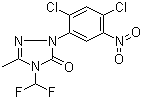 2-(2,4-二氯-5-硝基苯基)-4-(二氟甲基)-2,4-二氫-5-甲基-3H-1,2,4-噻唑-3-酮結(jié)構(gòu)式_111992-17-7結(jié)構(gòu)式
