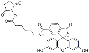 Fluorescein-5(6)-carboxamidocaproic acid n-succinimidyl esterStructure,114616-31-8Structure Fluorescein-5(6)-carboxamidocaproic acid n-succinimidyl ester Structure,114616-31-8Structure