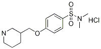N,n-dimethyl-4-(piperidin-3-ylmethoxy)benzenesulfonamide hydrochlorideStructure,1185310-30-8Structure N,n-dimethyl-4-(piperidin-3-ylmethoxy)benzenesulfonamide hydrochloride Structure,1185310-30-8Structure