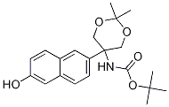 Tert-butyl 5-(6-hydroxynaphthalen-2-yl)-2,2-dimethyl-1,3-dioxan-5-ylcarbamateStructure,1206676-79-0Structure Tert-butyl 5-(6-hydroxynaphthalen-2-yl)-2,2-dimethyl-1,3-dioxan-5-ylcarbamate Structure,1206676-79-0Structure