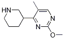 2-Methoxy-5-methyl-4-(piperidin-3-yl)pyrimidineStructure,1207174-94-4Structure 2-Methoxy-5-methyl-4-(piperidin-3-yl)pyrimidine Structure,1207174-94-4Structure