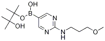 2-(3-Methoxypropylamino)pyrimidine-5-boronic acid pinacol esterStructure,1218789-31-1Structure 2-(3-Methoxypropylamino)pyrimidine-5-boronic acid pinacol ester Structure,1218789-31-1Structure