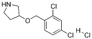 3-((2,4-Dichlorobenzyl)oxy)pyrrolidine hydrochlorideStructure,1220033-11-3Structure 3-((2,4-Dichlorobenzyl)oxy)pyrrolidine hydrochloride Structure,1220033-11-3Structure
