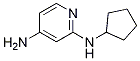 N2-cyclopentylpyridine-2,4-diamineStructure,1247500-24-8Structure N2-cyclopentylpyridine-2,4-diamine Structure,1247500-24-8Structure