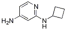 N2-cyclobutylpyridine-2,4-diamineStructure,1248791-40-3Structure N2-cyclobutylpyridine-2,4-diamine Structure,1248791-40-3Structure