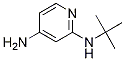 N2-tert-butylpyridine-2,4-diamineStructure,1249985-74-7Structure N2-tert-butylpyridine-2,4-diamine Structure,1249985-74-7Structure