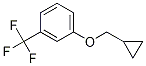 1-(Cyclopropylmethoxy)-3-(trifluoromethyl)benzeneStructure,1257665-22-7Structure 1-(Cyclopropylmethoxy)-3-(trifluoromethyl)benzene Structure,1257665-22-7Structure
