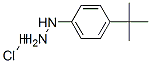 4-Tert-butylphenylhydrazine hydrochloride Structure,128231-55-0Structure