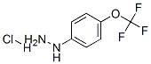 4-(Trifluoromethoxy)phenylhydrazine hydrochloride Structure,133115-72-7Structure