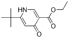 Ethyl 6-tert-butyl-4-oxo-1,4-dihydro-pyridine-3-carboxylateStructure,134653-98-8Structure Ethyl 6-tert-butyl-4-oxo-1,4-dihydro-pyridine-3-carboxylate Structure,134653-98-8Structure