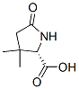 Proline,3,3-dimethyl-5-oxo-Structure,141978-97-4Structure Proline,3,3-dimethyl-5-oxo- Structure,141978-97-4Structure