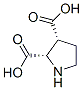2,3-Pyrrolidinedicarboxylicacid,(2s,3r)-(9ci)Structure,147332-09-0Structure 2,3-Pyrrolidinedicarboxylicacid,(2s,3r)-(9ci) Structure,147332-09-0Structure