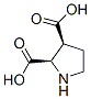 2,3-Pyrrolidinedicarboxylicacid,(2r-cis)-(9ci)Structure,147332-10-3Structure 2,3-Pyrrolidinedicarboxylicacid,(2r-cis)-(9ci) Structure,147332-10-3Structure