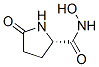 (s)-(9ci)-n-羥基-5-氧代-2-吡咯烷羧酰胺結(jié)構(gòu)式_148650-23-1結(jié)構(gòu)式