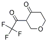 4H-pyran-4-one, tetrahydro-3-(trifluoroacetyl)-(9ci)Structure,158351-87-2Structure 4H-pyran-4-one, tetrahydro-3-(trifluoroacetyl)-(9ci) Structure,158351-87-2Structure