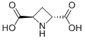 (2R,4r)-(+)-azetidine-2,4-dicarboxylic acidStructure,161596-63-0Structure (2R,4r)-(+)-azetidine-2,4-dicarboxylic acid Structure,161596-63-0Structure