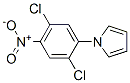 1-(2,5-Dichloro-4-nitrophenyl)-1h-pyrroleStructure,175135-54-3Structure 1-(2,5-Dichloro-4-nitrophenyl)-1h-pyrrole Structure,175135-54-3Structure