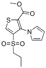 Methyl 4-(propylsulfonyl)-3-(1h-pyrrol-1-yl)thiophene-2-carboxylateStructure,175201-78-2Structure Methyl 4-(propylsulfonyl)-3-(1h-pyrrol-1-yl)thiophene-2-carboxylate Structure,175201-78-2Structure