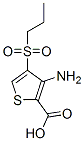 3-Amino-4-(N-propylsulfonyl)thiophene-2-carboxylic acidStructure,175201-91-9Structure 3-Amino-4-(N-propylsulfonyl)thiophene-2-carboxylic acid Structure,175201-91-9Structure