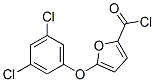 5-(3,5-Dichlorophenoxy)furan-2-carbonyl chlorideStructure,175277-07-3Structure 5-(3,5-Dichlorophenoxy)furan-2-carbonyl chloride Structure,175277-07-3Structure