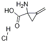1-Amino-2-methylenecyclopropanecarboxylic acid (hydrochloride)Structure,181712-46-9Structure 1-Amino-2-methylenecyclopropanecarboxylic acid (hydrochloride) Structure,181712-46-9Structure