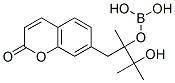 7-(4,4,5,5-Tetramethyl-1,3,2-dioxaborolan-2-yl)-2h-chromen-2-oneStructure,190788-61-5Structure 7-(4,4,5,5-Tetramethyl-1,3,2-dioxaborolan-2-yl)-2h-chromen-2-one Structure,190788-61-5Structure