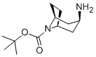 N-Boc-endo-3-aminotropane Structure,207405-68-3Structure
