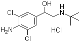 Clenbuterol hdrochlorideStructure,21898-19-1Structure Clenbuterol hdrochloride Structure,21898-19-1Structure