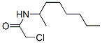 2-Chloro-n-(1-methylheptyl)acetamideStructure,23602-04-2Structure 2-Chloro-n-(1-methylheptyl)acetamide Structure,23602-04-2Structure