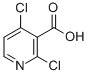 2,4-Dichloropyridine-3-carboxylic acid Structure,262423-77-8Structure