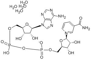Beta-nicotinamide adenine dinucleotide tetrahydrateStructure,282730-13-6Structure Beta-nicotinamide adenine dinucleotide tetrahydrate Structure,282730-13-6Structure