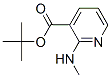 2-Methyl-2-propanyl 2-(methylamino)nicotinateStructure,338990-70-8Structure 2-Methyl-2-propanyl 2-(methylamino)nicotinate Structure,338990-70-8Structure