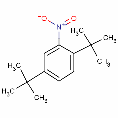 2,5-Di-tert-butylnitrobenzeneStructure,3463-35-2Structure 2,5-Di-tert-butylnitrobenzene Structure,3463-35-2Structure