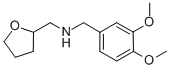 (3,4-Dimethoxy-benzyl)-(tetrahydro-furan-2-yl-methyl)-amineStructure,346704-26-5Structure (3,4-Dimethoxy-benzyl)-(tetrahydro-furan-2-yl-methyl)-amine Structure,346704-26-5Structure