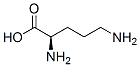 D-ornithineStructure,348-66-3Structure D-ornithine Structure,348-66-3Structure