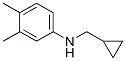 Benzenamine,n-(cyclopropylmethyl)-3,4-dimethyl-(9ci)Structure,356539-38-3Structure Benzenamine,n-(cyclopropylmethyl)-3,4-dimethyl-(9ci) Structure,356539-38-3Structure
