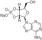 Adenosine 2’,3’-cyclic monophosphate, sodium salt hydrateStructure,37063-35-7Structure Adenosine 2’,3’-cyclic monophosphate, sodium salt hydrate Structure,37063-35-7Structure