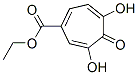 Ethyl 4,5-dihydroxy-3-oxo-1,4,6-cycloheptatriene-1-carboxylateStructure,379216-03-2Structure Ethyl 4,5-dihydroxy-3-oxo-1,4,6-cycloheptatriene-1-carboxylate Structure,379216-03-2Structure