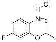 4-氟-2-異丙氧基苯胺鹽酸鹽結(jié)構(gòu)式_380430-47-7結(jié)構(gòu)式