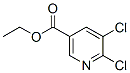 5,6-二氯煙酸乙酯結(jié)構(gòu)式_401566-69-6結(jié)構(gòu)式