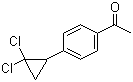 1-[4-(2,2-Dichlorocyclopropyl)phenyl]ethan-1-one Structure,40641-93-8Structure