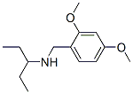 (2,4-Dimethoxybenzyl)(1-ethylpropyl)amine Structure,416891-71-9Structure