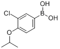 3-Chloro-4-isopropoxyphenylboronic acidStructure,480438-56-0Structure 3-Chloro-4-isopropoxyphenylboronic acid Structure,480438-56-0Structure