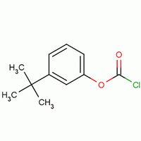 間叔丁基氯甲酸苯酯結(jié)構(gòu)式_49561-88-8結(jié)構(gòu)式